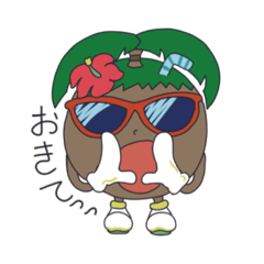 [LINEスタンプ] ココナツくん