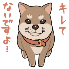 [LINEスタンプ] 栄島の犬スタンプ