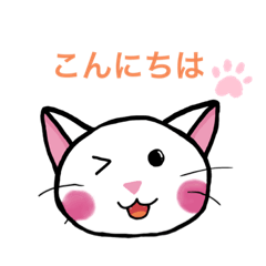 [LINEスタンプ] ニャーニャーデイリー