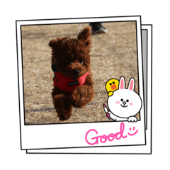 [LINEスタンプ] Ruby........