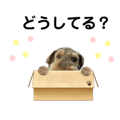 [LINEスタンプ] ウェルシュテリア ♡ジェリーさんの1日(14)