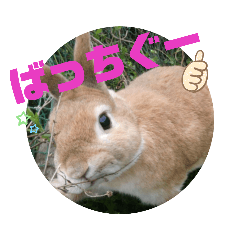 [LINEスタンプ] みんなと一緒 3