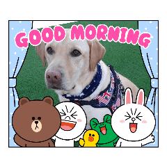 [LINEスタンプ] ずらら