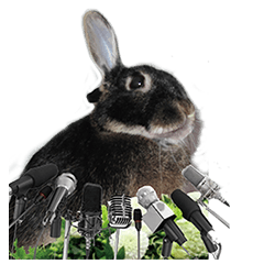 [LINEスタンプ] 口下手なハーフうさぎのメッセージ