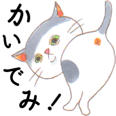 [LINEスタンプ] aricaのぶーネコたち（関西弁）