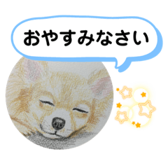[LINEスタンプ] 寝てるチワワの絵