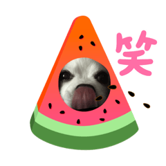 [LINEスタンプ] ワチスタンプ3