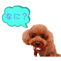[LINEスタンプ] ネルちゃんのスタンプ