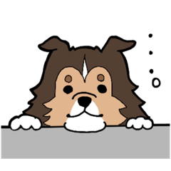 [LINEスタンプ] シェルティーのカールくん