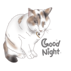 [LINEスタンプ] みーm