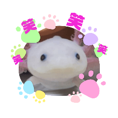 [LINEスタンプ] ウーパーもちこと一緒 3