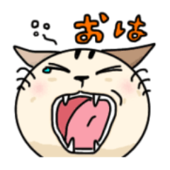 [LINEスタンプ] かわいいネコの日常スタンプ