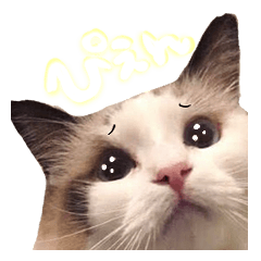[LINEスタンプ] らぶりぃこゆき