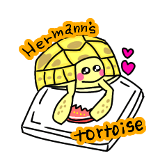 [LINEスタンプ] ヒガシヘルマンリクガメの亀ちゃん先生2