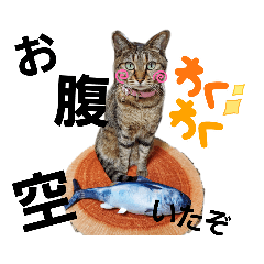[LINEスタンプ] あんこ＆おはぎ①