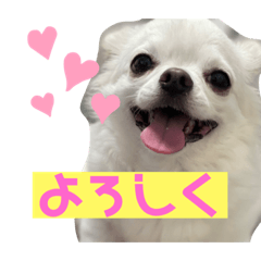 [LINEスタンプ] ロンすず