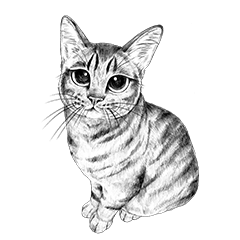 [LINEスタンプ] チャチャとゆかいな仲間たち 3