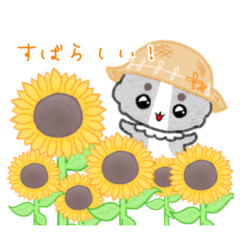 [LINEスタンプ] ユキちゃんの日常、夏