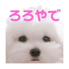 [LINEスタンプ] ☁RoRo☁️だよ