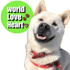 [LINEスタンプ] world love heart 保護アニマルスタンプの画像（メイン）