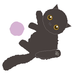 [LINEスタンプ] さいとうさんちの猫