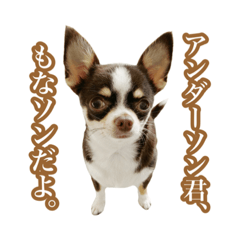 [LINEスタンプ] スムチーさんのつぶやき。