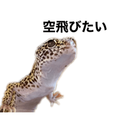 [LINEスタンプ] 黒ごまにごまごま