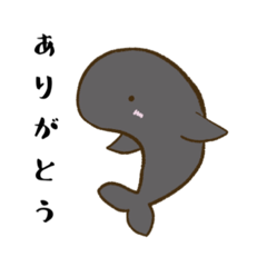 [LINEスタンプ] イルカとの暮らし