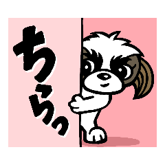 [LINEスタンプ] グミちゃんはシーズー犬なのだ日常Ver.2