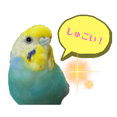 [LINEスタンプ] ベリーはかわいい⭐