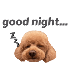 [LINEスタンプ] ネルちゃんの日常だよ