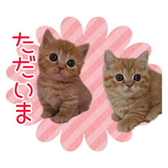 [LINEスタンプ] みるまろスタンプ