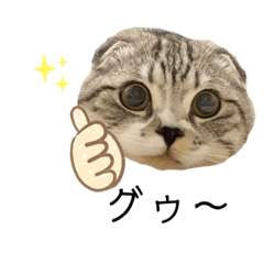 [LINEスタンプ] vivipopoすたんぷ