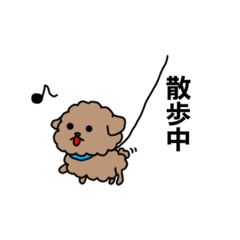 [LINEスタンプ] ぼく、トイプードル