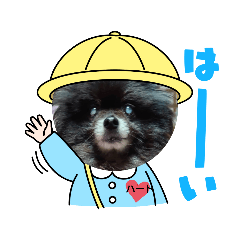 [LINEスタンプ] 黒ポメ♡ハートちゃん