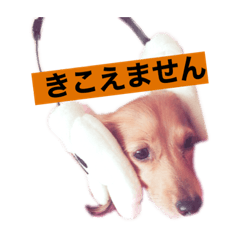 [LINEスタンプ] ミニチュアダックスのおんなのこ