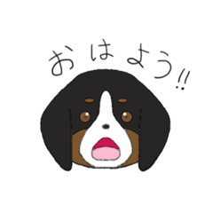 [LINEスタンプ] バーニーズのゆるスタンプ