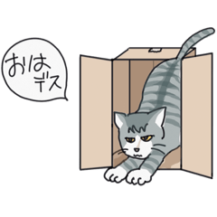 [LINEスタンプ] トラネコのうーサマ