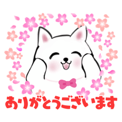 [LINEスタンプ] いろいろkayoスタンプ