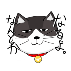 [LINEスタンプ] ジト目の猫