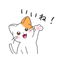 [LINEスタンプ] ゆるねこ！スタンプ(日常)