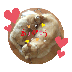 [LINEスタンプ] 猫さんLove2