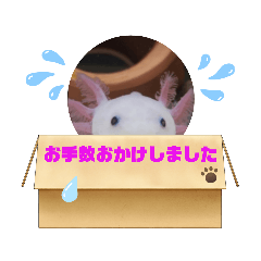 [LINEスタンプ] ウーパーもちこと一緒 4