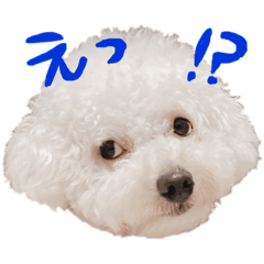 [LINEスタンプ] ファルコン3