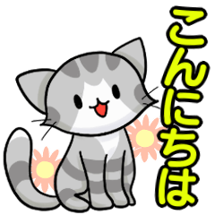 [LINEスタンプ] サイベリアンネコの銀ちゃんスタンプ4の画像（メイン）