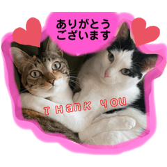 [LINEスタンプ] タンバとテト3