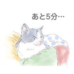 [LINEスタンプ] 癒やしのリアル猫