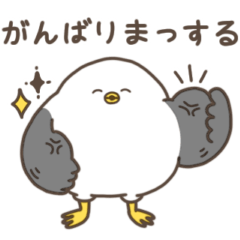 [LINEスタンプ] まんまるカモメ だじゃれ