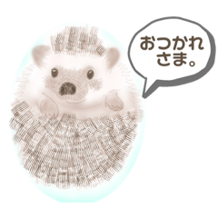 [LINEスタンプ] yaN家のハリネズミMOO