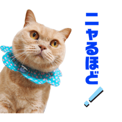 [LINEスタンプ] みるゆきねこスタンプ2